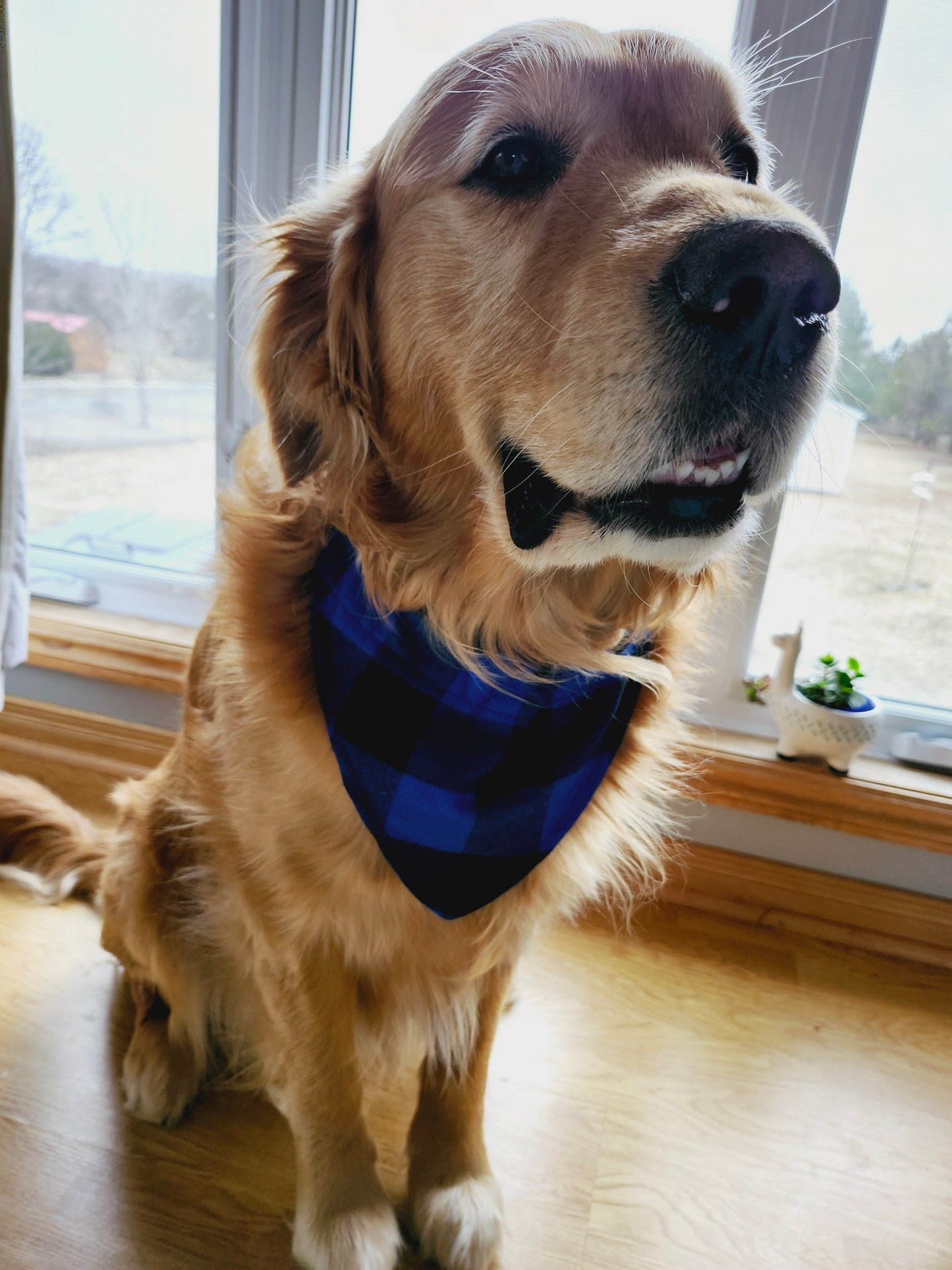 Buffalo Plaid Over the Collar Pet Bandanas