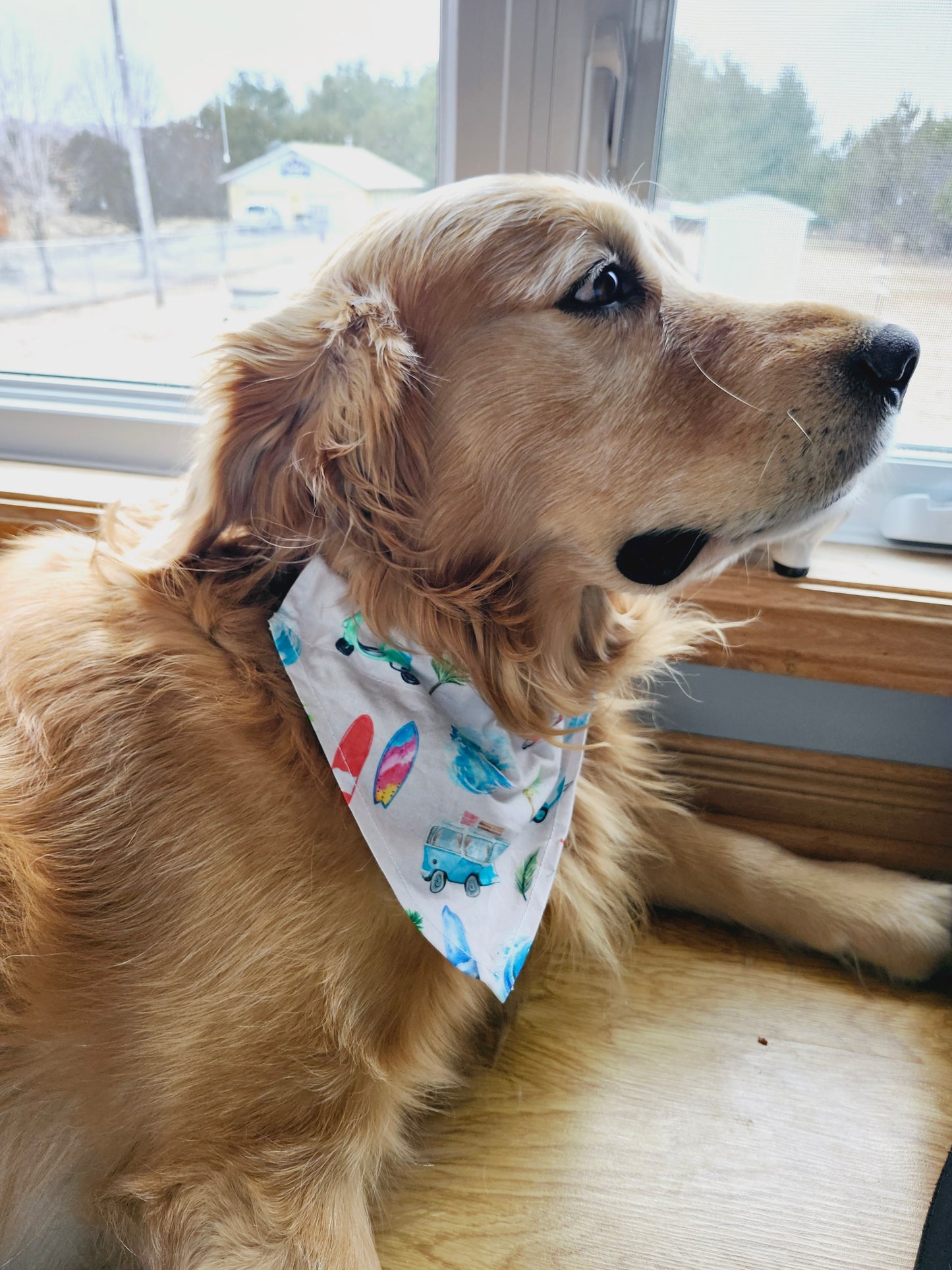 Vanagon Beach Vibes Over the Collar Dog Bandana