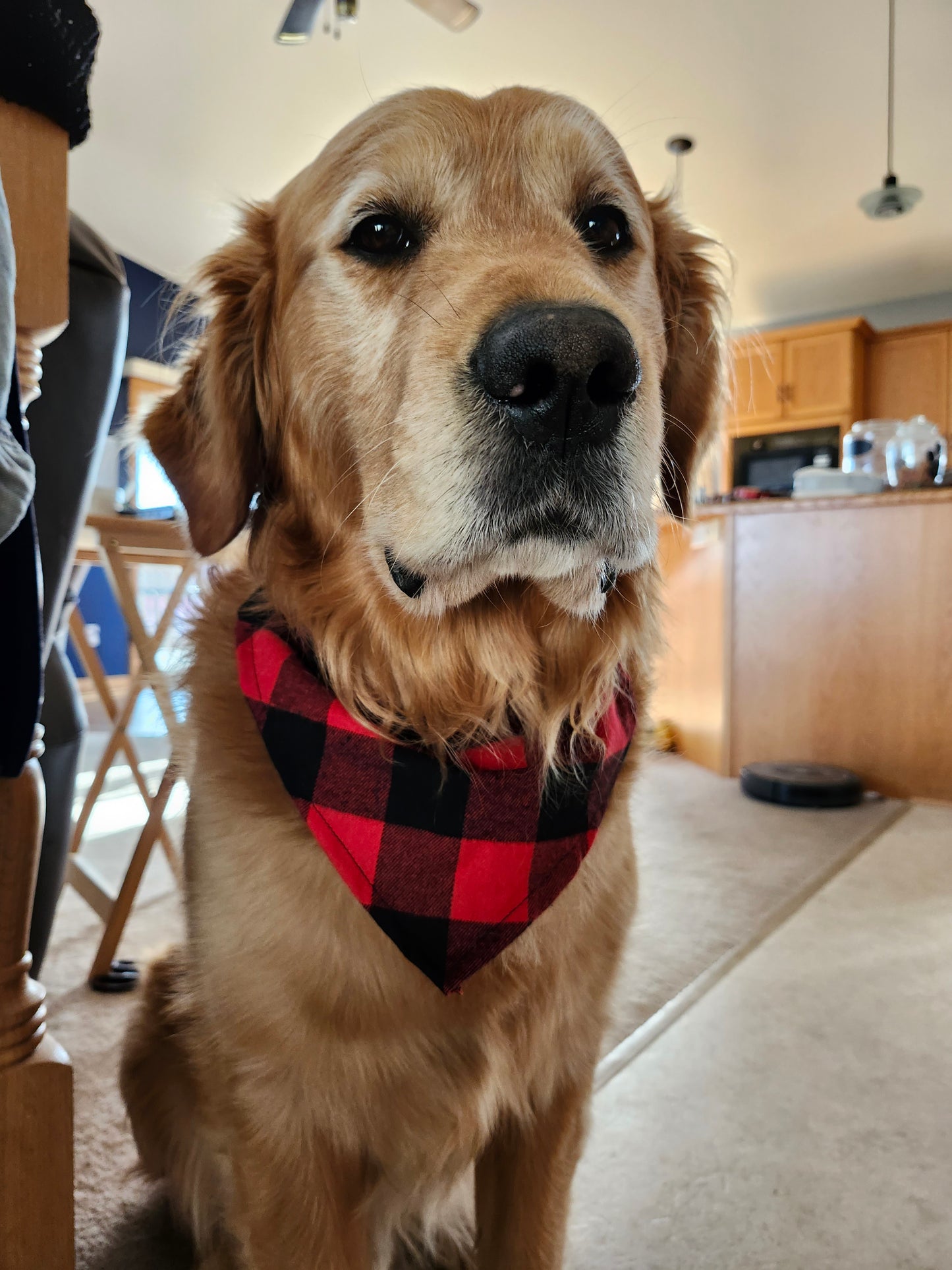 Buffalo Plaid Over the Collar Pet Bandanas