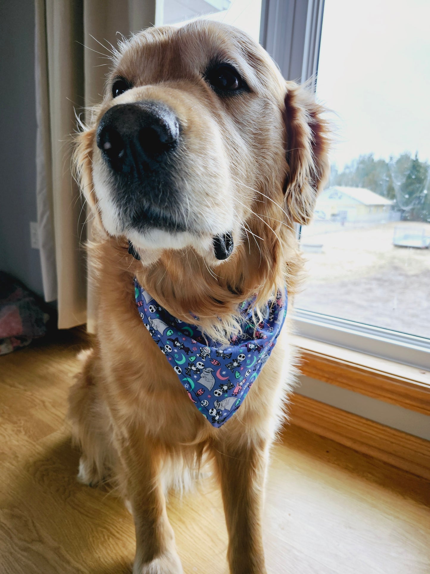 Nightmare Before Christmas Over the Collar Dog Bandana