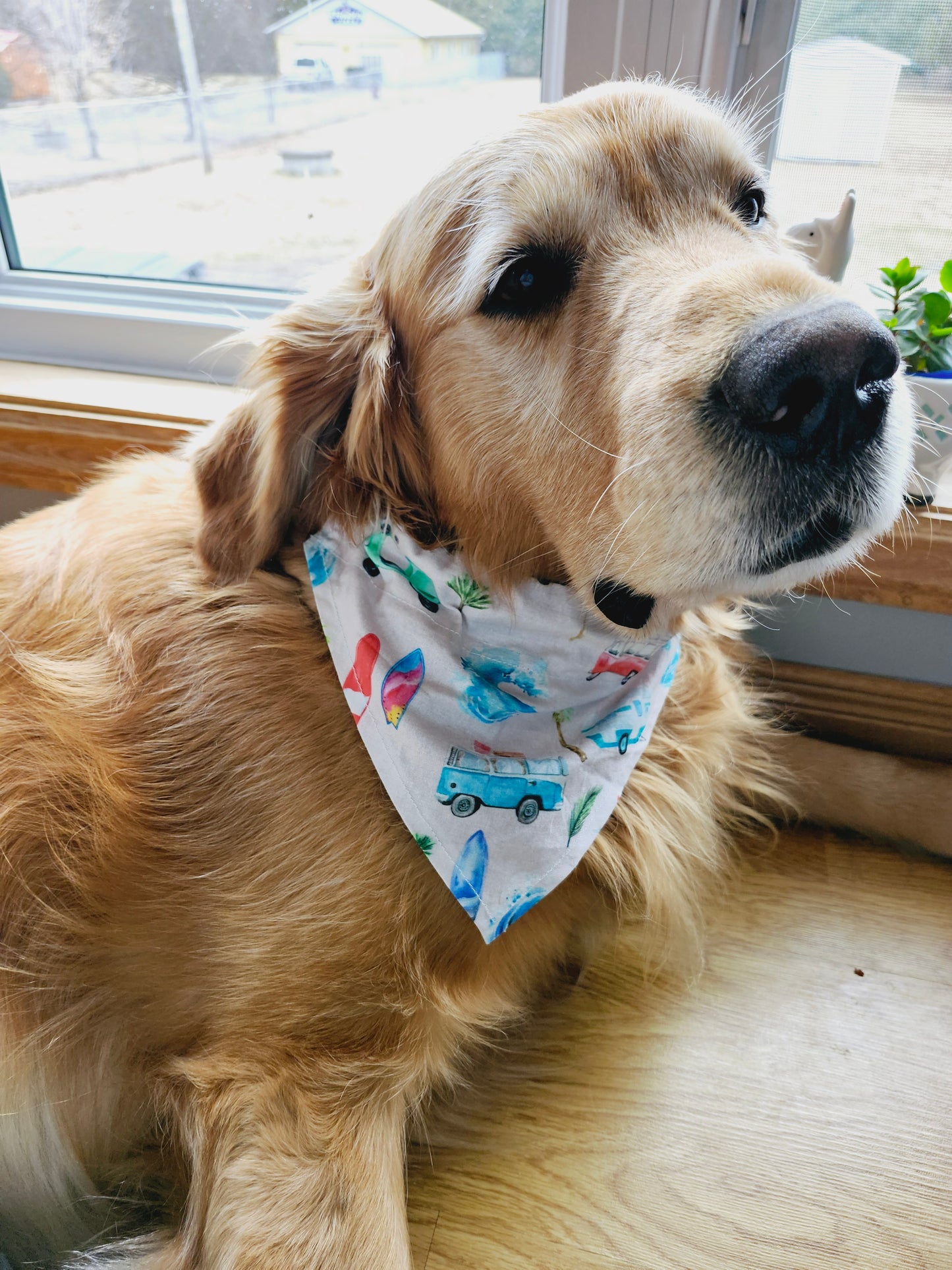 Vanagon Beach Vibes Over the Collar Dog Bandana