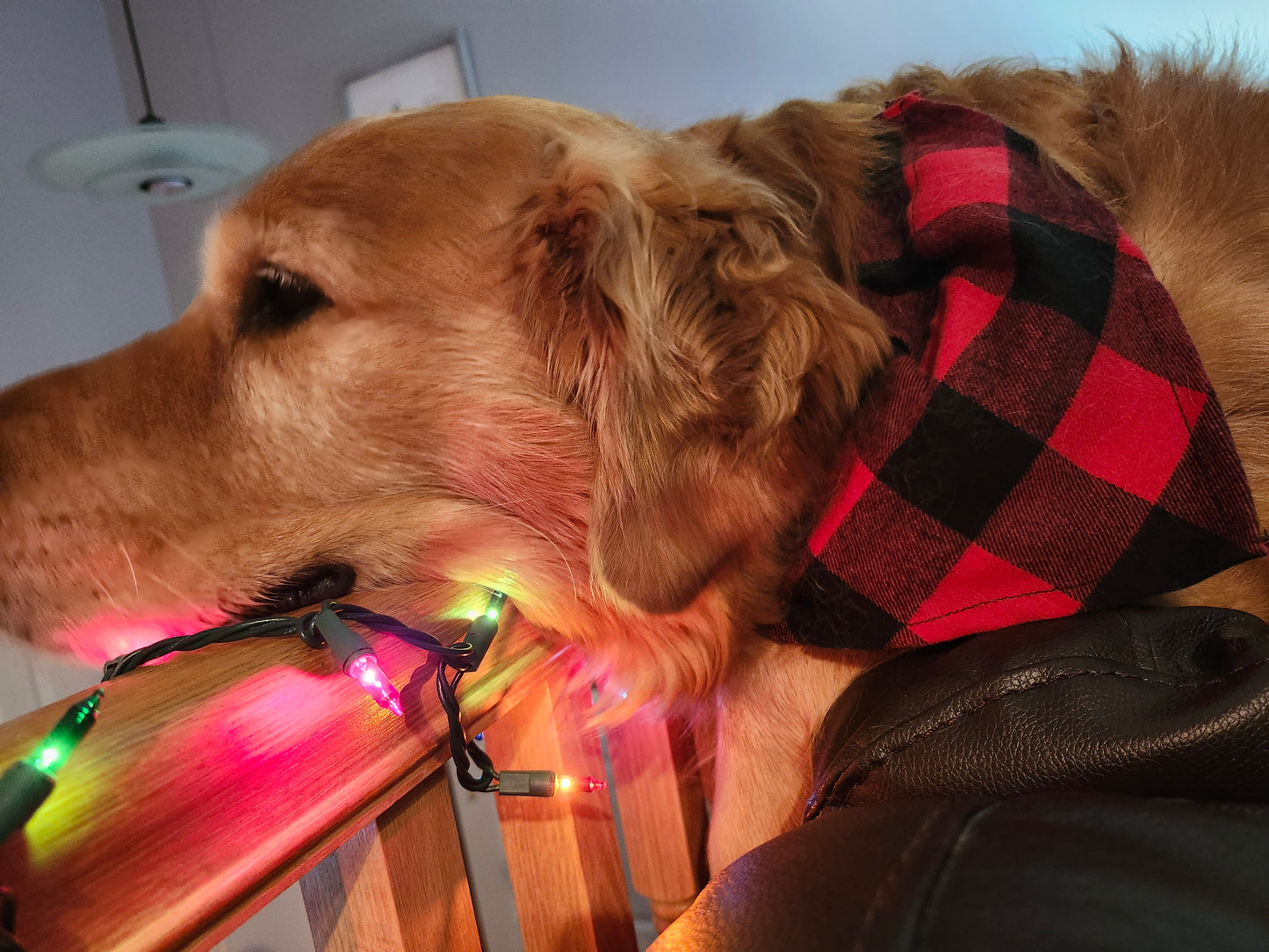 Buffalo Plaid Over the Collar Pet Bandanas